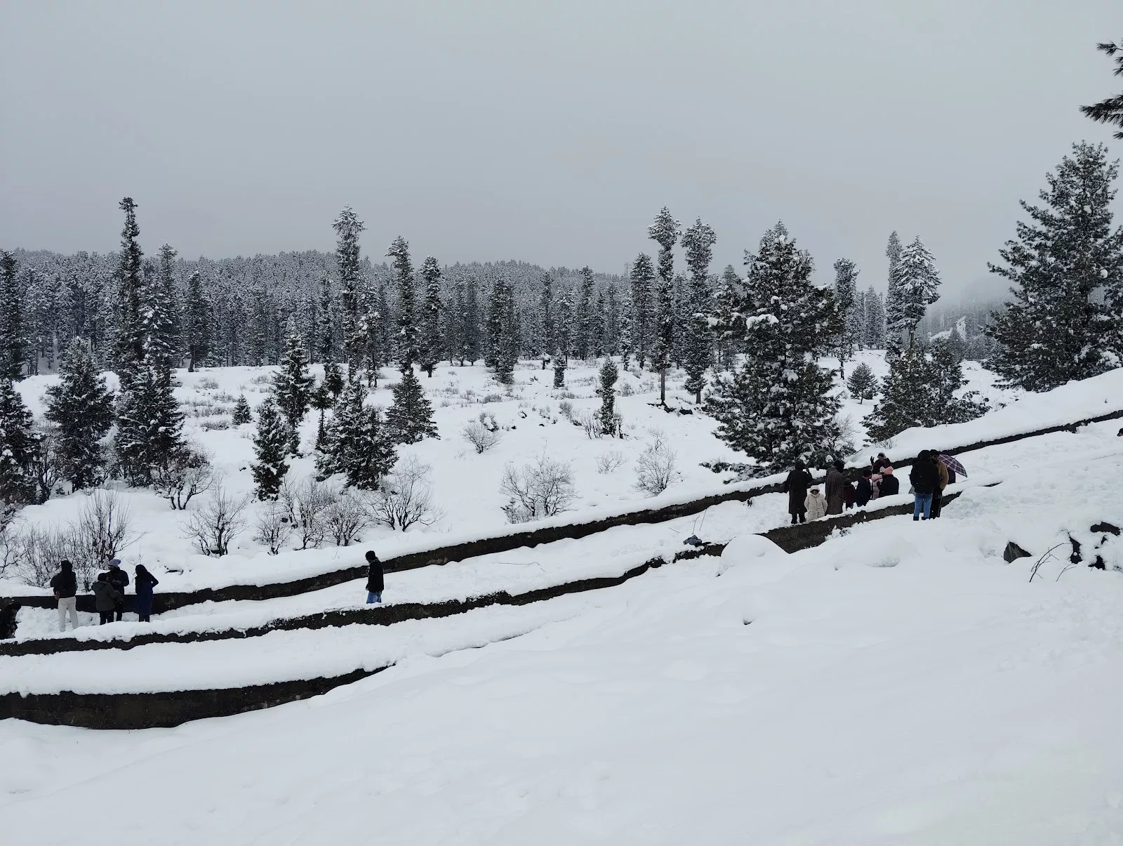 Explore TouristHub Holidays LLP - Photo 3